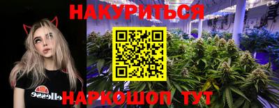 мяу мяу мука Кандалакша
