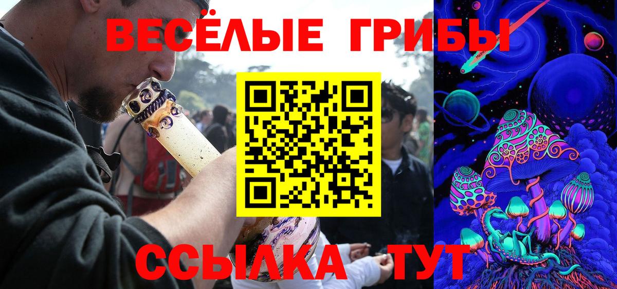 Псилоцибиновые грибы GOLDEN TEACHER Краснокаменск